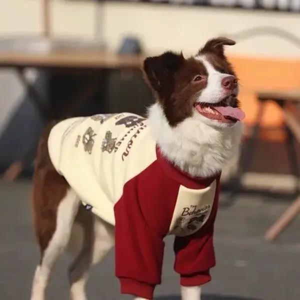 Sweat-shirt à capuche pour chien de grande taille à motif de dessin animé pull chaud pour chiens husky pitbull automne hiver