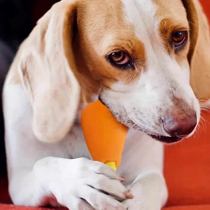 1 jouet pour chien en forme de jambe de poulet qui couine - Caoutchouc durable et non toxique