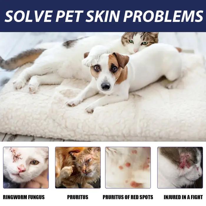 Crème réparatrice pour la peau des animaux de compagnie