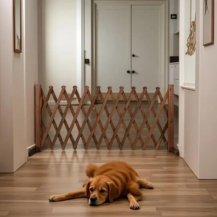 Clôture en bois pour animaux de compagnie avec barrière rétractable pour chien, barrière de sécurité