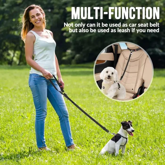 Ceinture de sécurité pour chien pour voiture