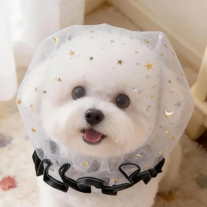 Muselière anti-épluchage pour chien