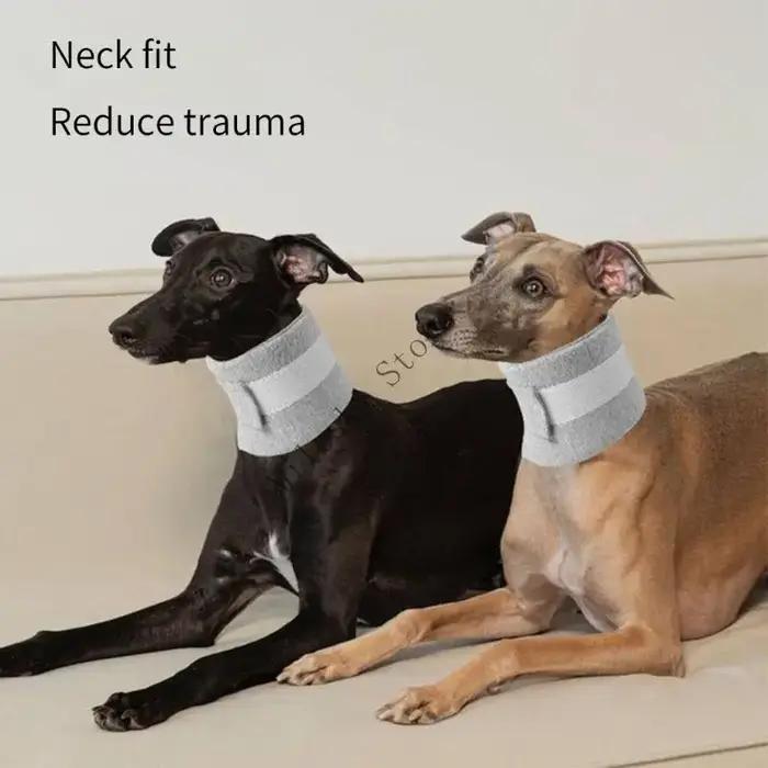 J60C Recovery Advable Pet Collar protège le cou mât mât