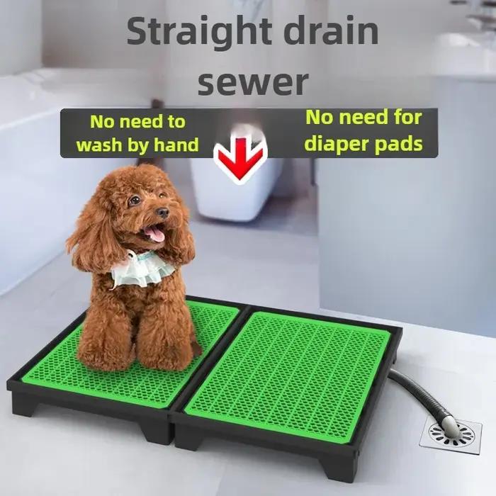 Toilette pour chien 28CM avec mur de protection