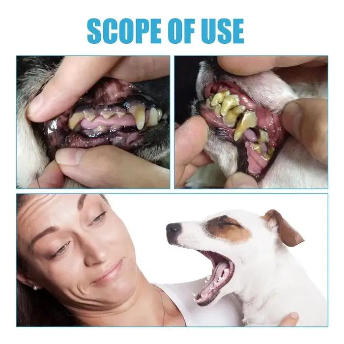Dentifrice Comestible Avancé pour Animaux de Compagnie Nettoie et Améliore l'Hygiène Buccale des Chiens et Chats Occasions Spéciales et Routine de Soins