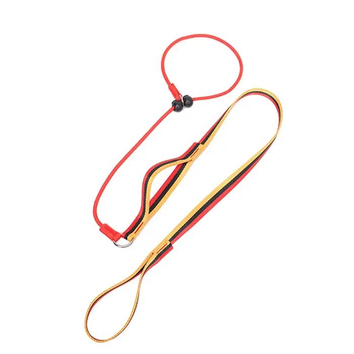 Laisse coordonnante pour chien avec poignée rembourrée, laisse de dressage pour chien, laisse Cinch,