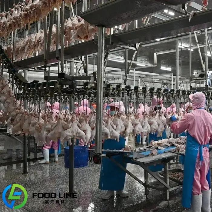 Équipement d'abattage de volaille de haute qualité 300-1000 ligne de production réglable pour poulets, canards et oies