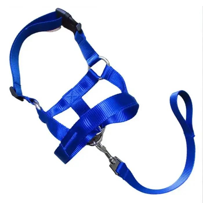Harnais de dressage créatif pour chien