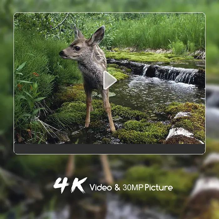 Caméra de chasse 4K avec vidéo en direct, contrôle par application Bluetooth, caméras pour la faune, vision nocturne 30MP, IP66, pièges photo WIFI801PRO