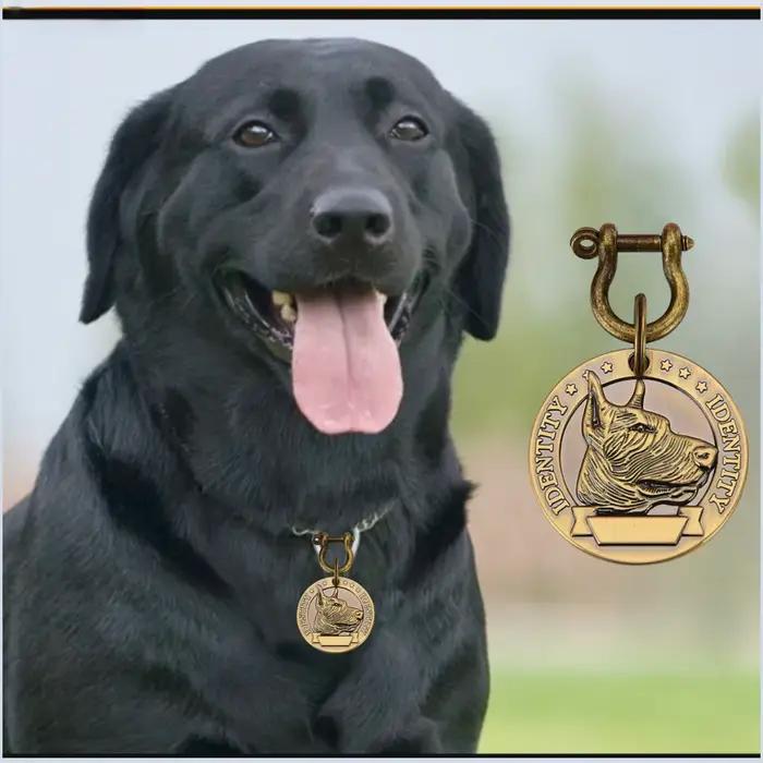Pendentif d'identification personnalisé pour collier de chien