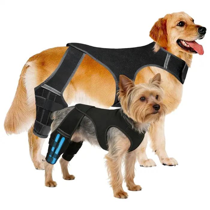 Attelle de jambe pour chien réglable avec 4 stabilisateurs métalliques – Soutien arrière pour la randonnée, l'exercice et les activités de plein air