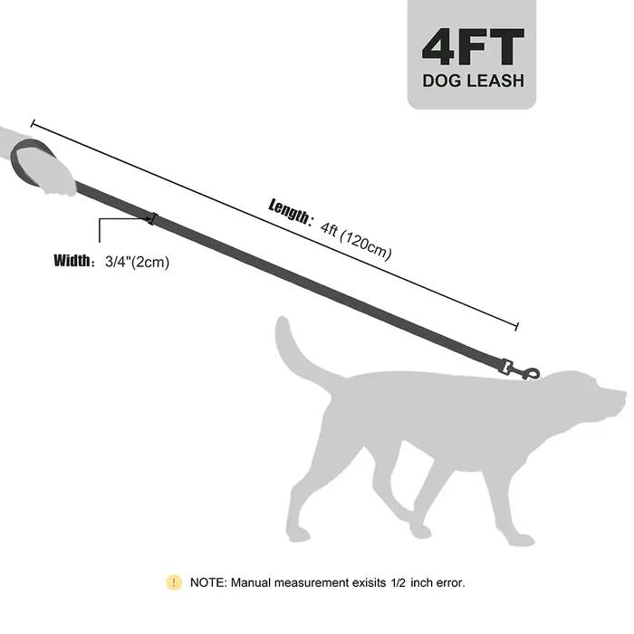 Laisse souple en cuir PU pour chien de compagnie