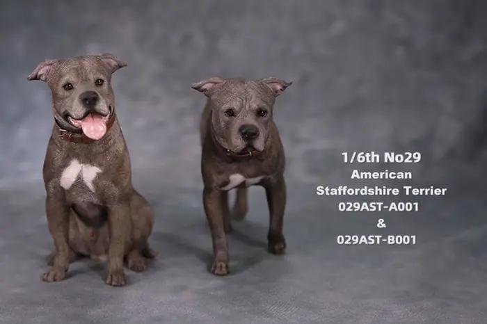 JXK Studio 1:6 Figurine de chien American Staffordshire Terrier
