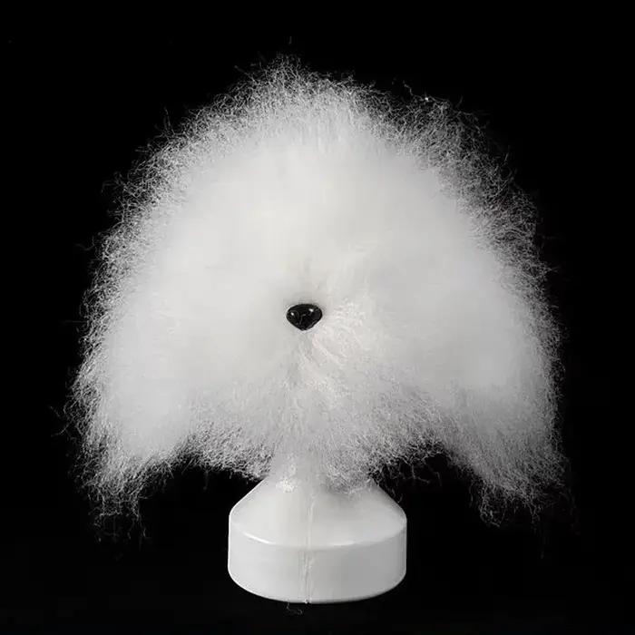 Tête d'entraînement professionnelle pour toilettage canin