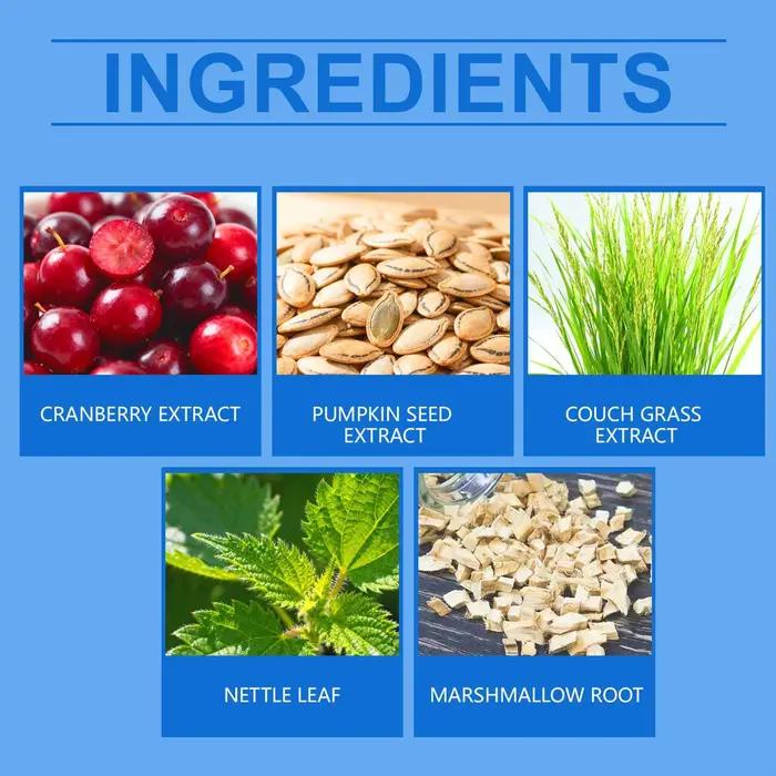 Gouttes pour la santé urinaire de chat et chien gouttes liquides aromatisées suppléments de santé pour chiens chiot petite moyenne grande race nourriture à manger à la maison
