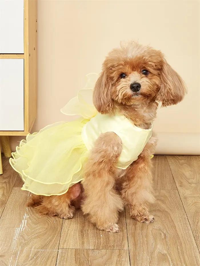 Bleu jaune rose vert violet chien robe filles luxe dentelle Chihuahua