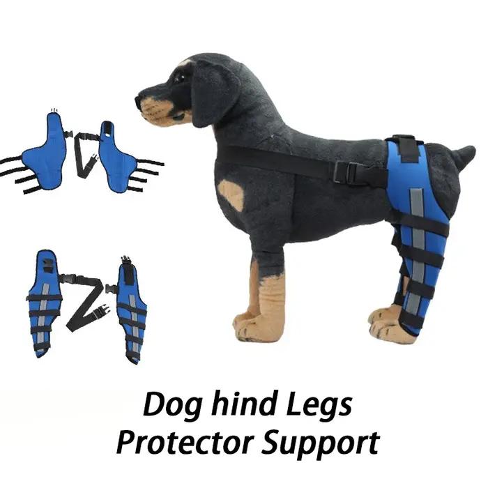 Attelle de soutien pour pattes arrière de chien âgé – Aide à la marche