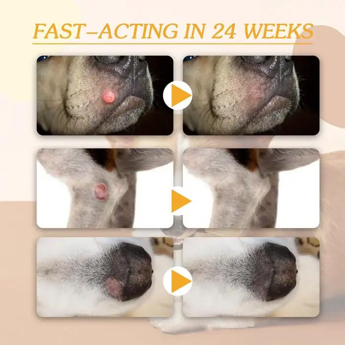 Crème anti-verrues pour chien