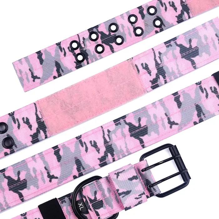 Collier tactique pour chien