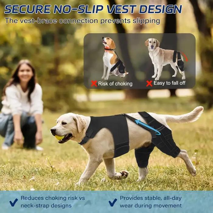 Attelle pour genou de chien pour l'entorse du ligament croisé antérieur (LCA) de la patte arrière