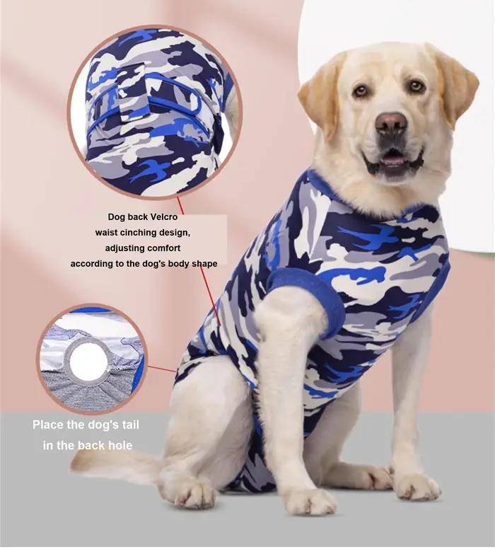 Combinaison de récupération pour chien après chirurgie chemise postopératoire pour animaux de compagnie protection des
