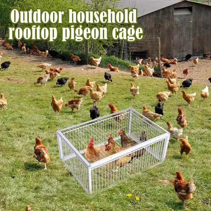 Piège automatique Cage à oiseaux