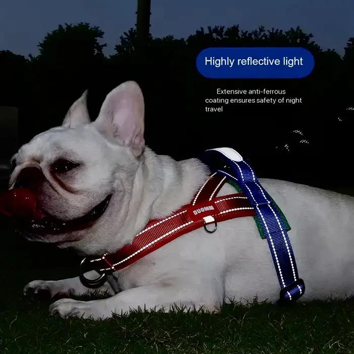 Harnais pour chien à la mode