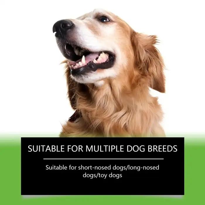 Poudre Nettoyante pour Dents de Chien Protection de la Santé Buccale Hygiène Dentaire Anti-Tache Amélioration de l'Haleine Fraîche Usage Daily Occasions Spéciales