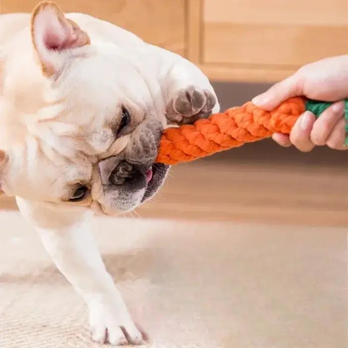 Jouets à nouer pour animaux de compagnie