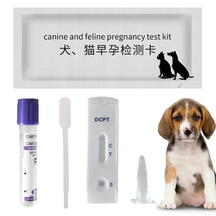 Carte de Test de grossesse pour chien