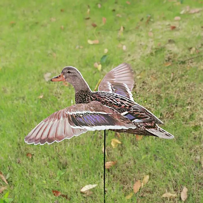 Leurre canard réaliste léger avec ailes déployées pour installation facile dans votre étang de chasse