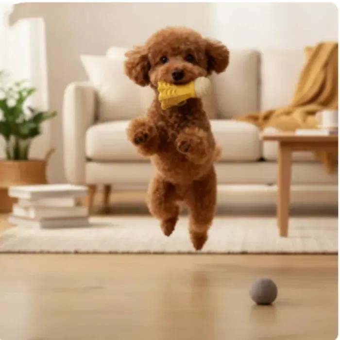 Jouet interactif à mâcher en forme de badminton pour chiens résistant aux morsures soulageant l'ennui puzzle auto-amusant occasions spéciales chiots adultes chiens occasions quotidiennes moments particuliers