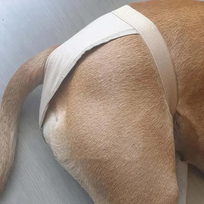 Culotte chauffante pour chienne hygiénique réutilisable et lavable pour petites et grandes races ajustable pour toutes les saisons occasions spéciales chiens