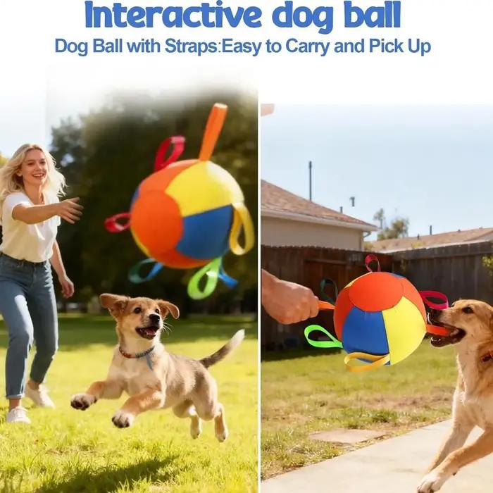 Ballon de dressage pour chiens