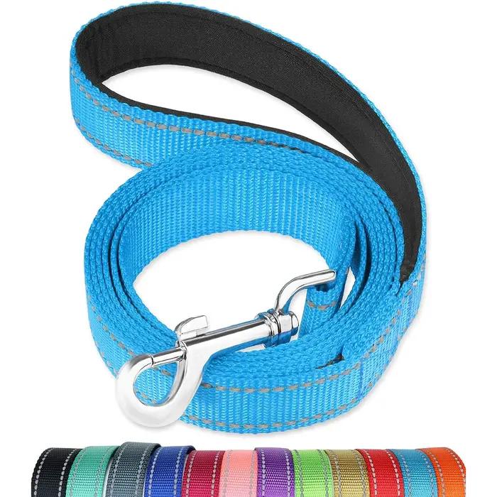 Laisse réfléchissante pour chien – Poignée rembourrée douce pour une formation et une marche confortables – Idéal pour les chiens moyens et petits – Haute visibilité