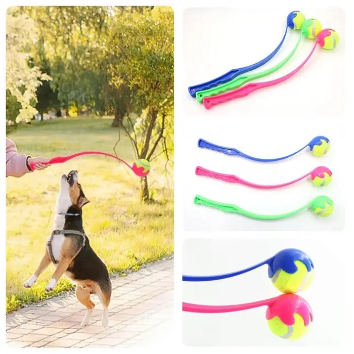 Ensemble de lanceur de balle de Tennis pour animaux de compagnie