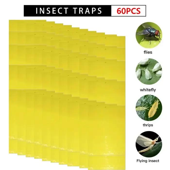 Pièges collants double face pour insectes volants