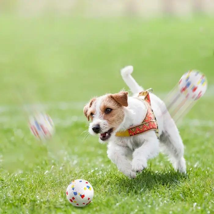 Balle indestructible EPTU pour chien : jouet de récupération rebondissant extrêmement résistant à la mastication pour