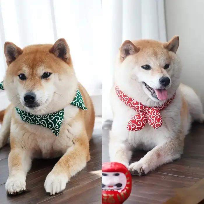 Bandanas élégants en élasthanne pour chiens Akita Shiba, cravates et nœuds papillons en coton pour chiens, accessoires mode pour animaux de compagnie blanc rouge noir vert