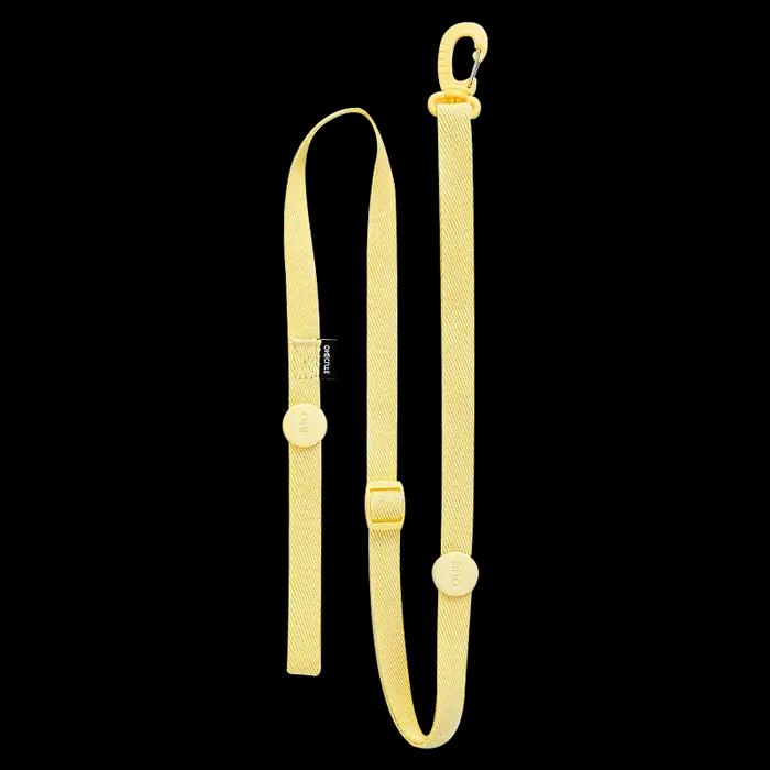 Ensemble de laisse de collier de harnais réglable pour chien, couleur Macarone, accessoires réfléchi