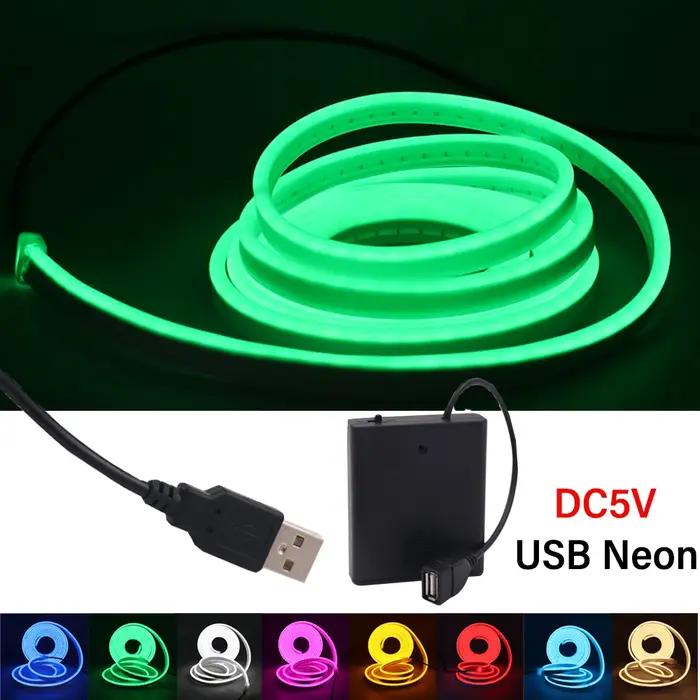 Bande lumineuse LED néon USB, 5V, 120 diodes/m, SMD 2835, étanche, Flexible, avec boîtier de batteri
