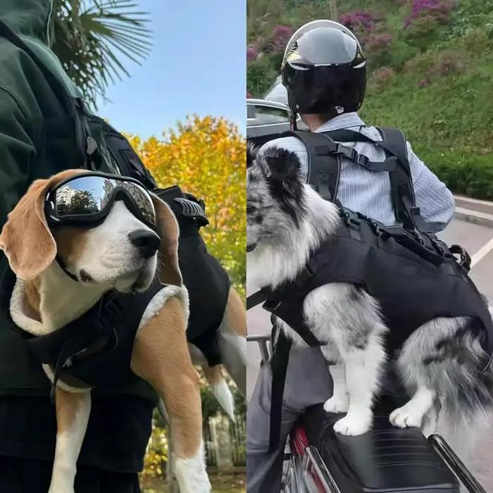 Sac à main à bandoulière Bapa Portable pour chien