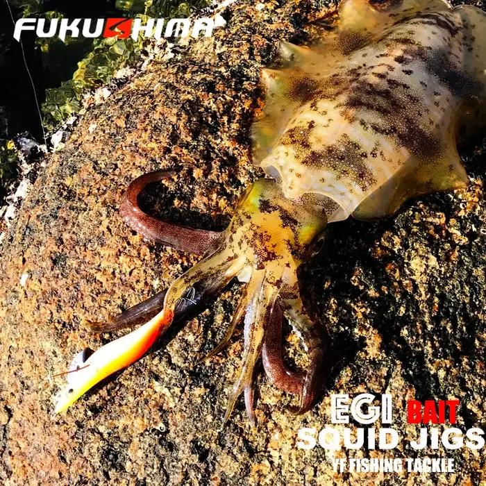 FUKUSHIMA 2-3.5 gabarits d'équilibre EGI leurre pêche au bois grillage BAIT coupe octopères queue br