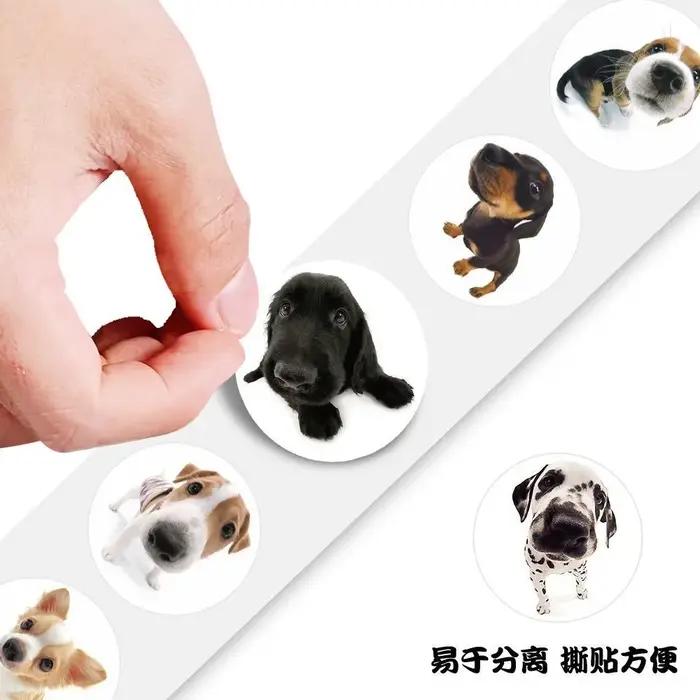 100-500 pièces Super mignon Ins idiot chien Meme autocollant pour téléphone ordinateur portable cahier bricolage autocollants décoratifs enfants jouet décor étanche