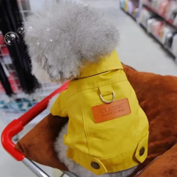 Robe pour chien élégante pour petites races comme teckels, chiots et Corgis, vêtement de chien pour tous les jours et événements spéciaux