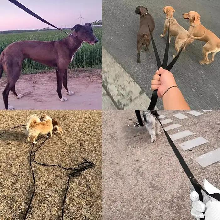 Laisse longue en Nylon pour animaux de compagnie