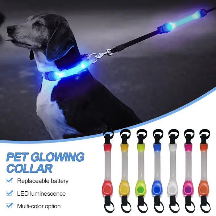 Collier de sécurité anti-perte pour chien