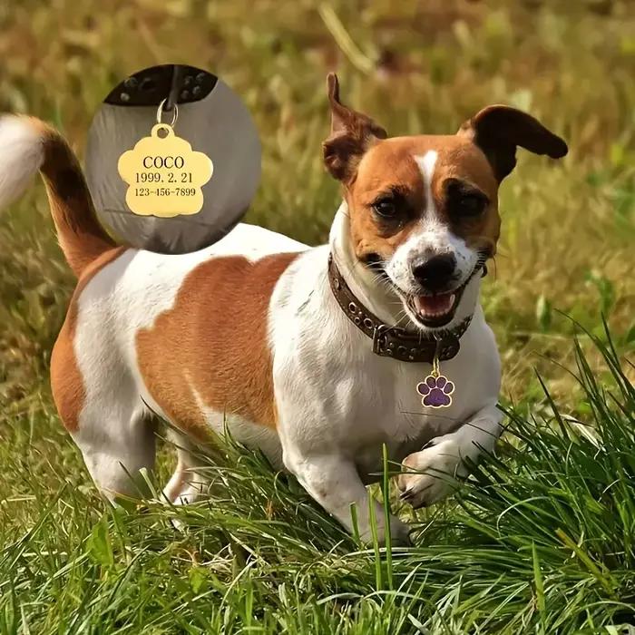 Étiquettes nominatives personnalisées pour chien et chat