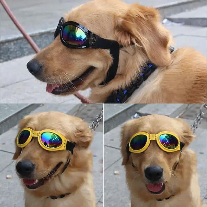 Lunettes de soleil pliables pour animaux de compagnie