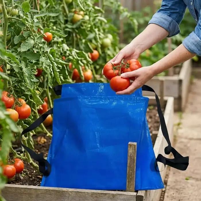 Sac de cueillette de fruits et de légumes en plastique robuste avec bretelles réglables pour cueillette main libre et efficace dans le jardin et le verger